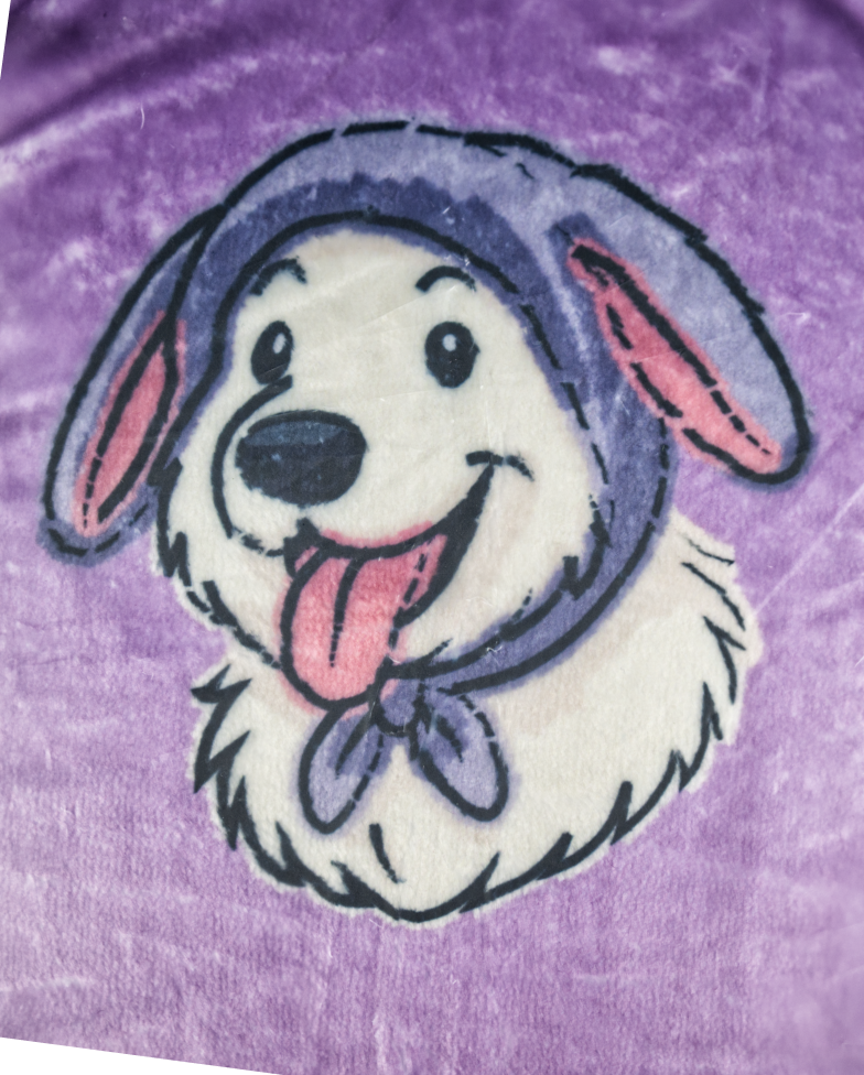 FIOLETOWA KOCOBLUZA MOMO